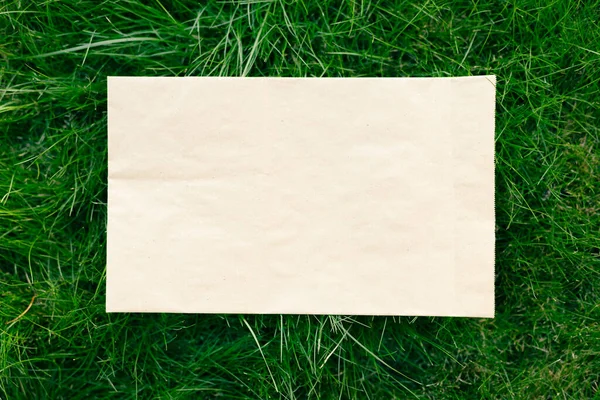 Рамка креативной композиции из зеленой газонной травы с ремесленным бумажным пакетом, плоским слоем и копировальным пространством для логотипа — стоковое фото