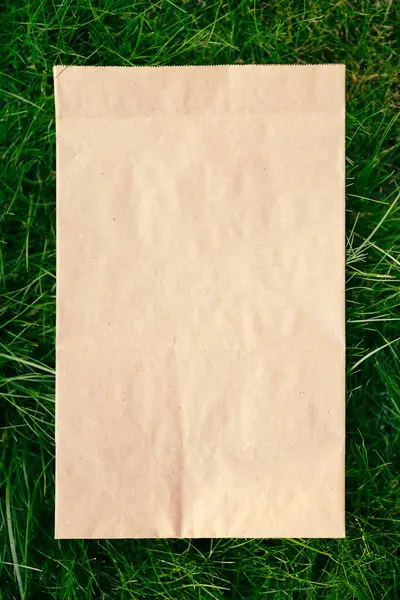 Вид сверху квадратной рамы, креативная компоновка зеленой травы с ремесленным экологически чистым пакетом — стоковое фото