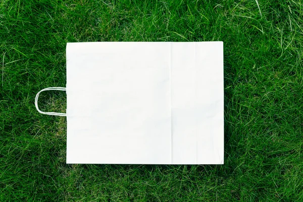 Вид сверху квадратной рамы, креативная компоновка зеленой травы с ремесленным экологически чистым пакетом с рукоятками — стоковое фото