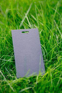 Yeşil yay çimenden yapılmış çerçeve ve etiketsiz bir siyah etiket ve logo için fotokopi alanı. Doğal konsept.