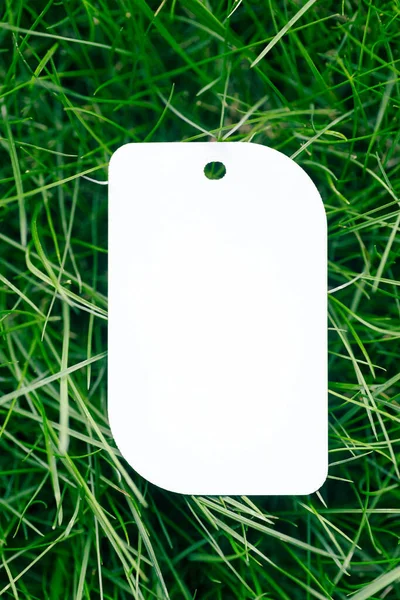 葉の形をした服のための単一の白い価格のタグのトップビューロゴのためのタグと芝生の緑の草の創造的なレイアウト — ストック写真