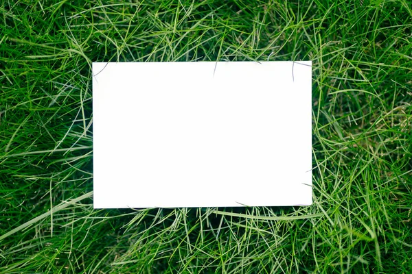 緑の新鮮な草で作られた創造的なレイアウト組成フレームは、白い紙のカードノートと日光、フラットレイアウトとコピースペースからの影と美しいテクスチャ — ストック写真