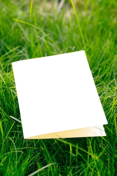 Боковой вид на белый картон пустая открытка макет газона зеленой травы в парке в солнечный летний день — стоковое фото