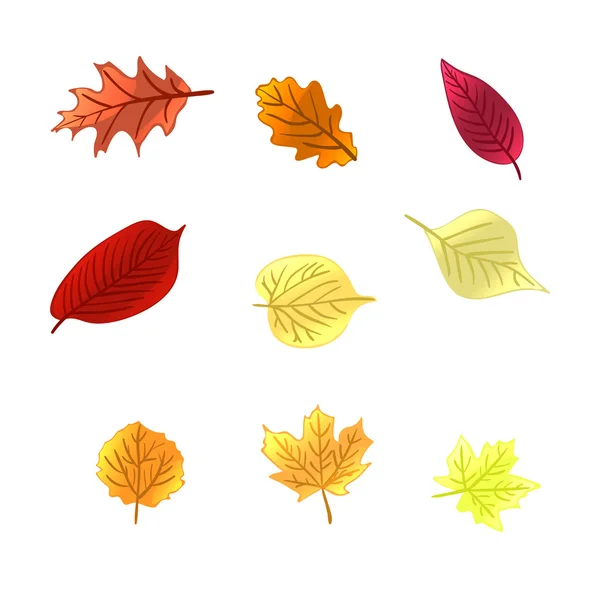 Herfst bladeren gezet. Vectorillustratie — Stockvector