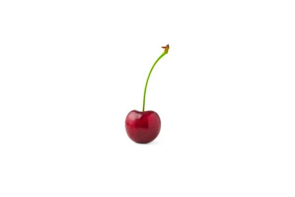 Sinle red cherry isolated on white background — 스톡 사진