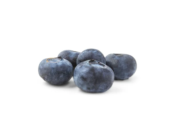 Five blueberries isolated on white background — Stock Photo, Image