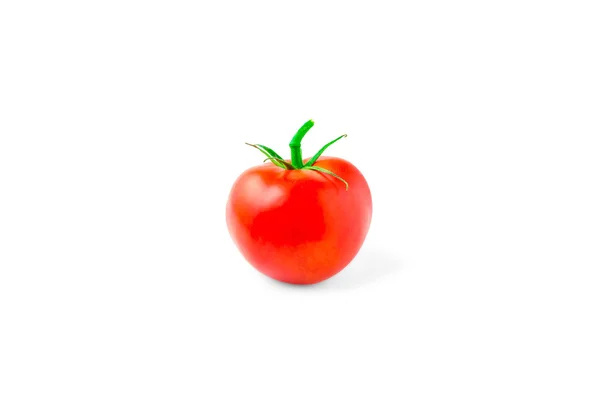 Único tomate isolado sobre fundo branco — Fotografia de Stock