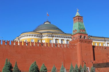 Senate Palace and the Senate tower in the Moscow Kremlin clipart