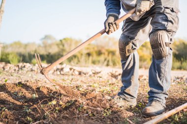 Tarlada toprağı süren tanınmamış bir adam.