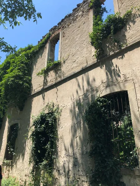 Imagen Una Casa Vieja Cubierta Hojas Ramas Árboles — Foto de Stock