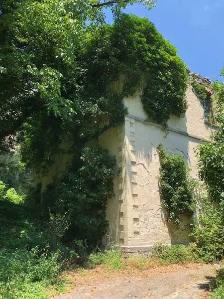 Imagen Una Casa Vieja Cubierta Hojas Ramas Árboles — Foto de Stock