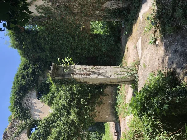 Imagem Uma Casa Velha Coberta Folhas Ramos Árvores — Fotografia de Stock