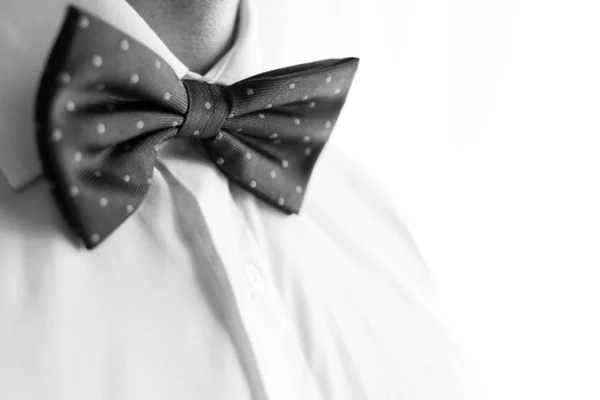 A fashionable groom wears a bowtie — Stock Photo, Image