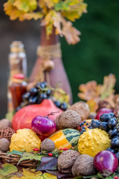 Autumn arrangement using shallow depth of field focus — Stock Photo, Image