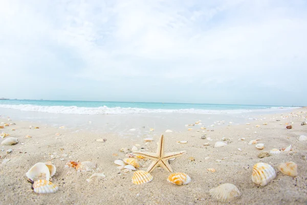 Dubai, Blue sky beach dalga deniz yıldızı deniz