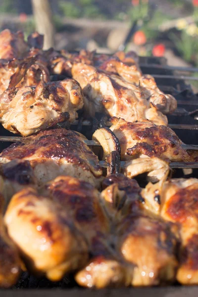 Tavuk kebap yaz yiyecek