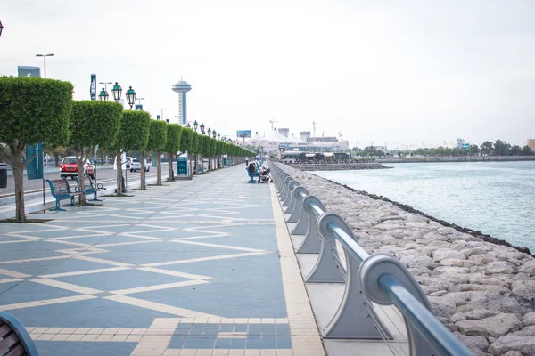 Setin ağaç abu dhabi Birleşik Arap Emirlikleri