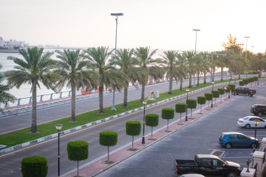Abu Dhabi, palmiye ağaçları ile yol
