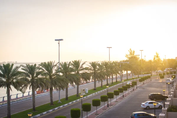 Palmiye deniz günbatımı abu dhabi