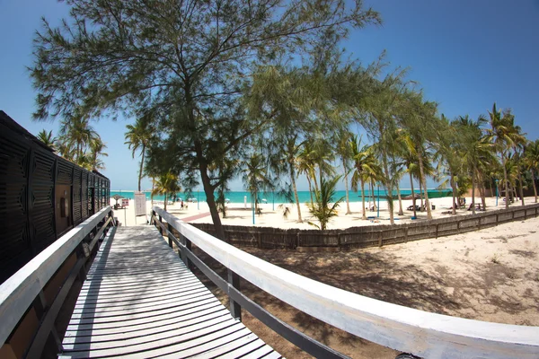 Dubai, soyunma deniz