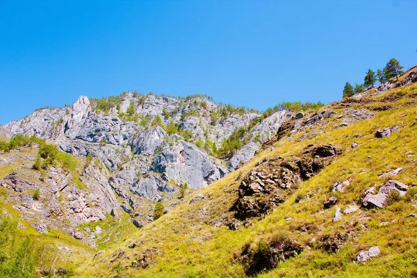 Altai mountains — Stock Photo, Image