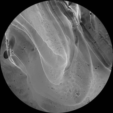 Siyah arka planda bir resim. Alkol mürekkebi modern soyut resim, modern sanat. Resmin renkli ve soyut arkaplanı. Soyut renkli arkaplan, duvar kağıdı. Çağdaş sanat.