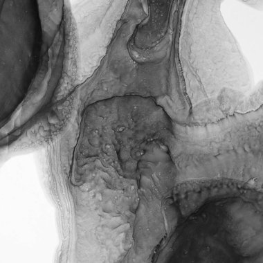 Alkol mürekkebi modern soyut resim, modern sanat. Soyut resmin siyah beyaz arka planı. Masaüstünüz için duvar kağıtları. Çağdaş sanat.