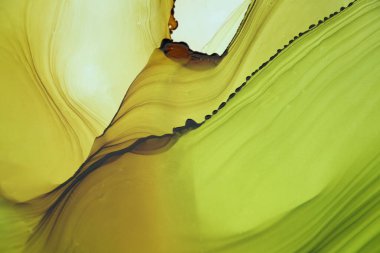 Alkol mürekkebi modern soyut resim, modern sanat. Renkli soyut resim arkaplanı. Soyut renkli arka plan, duvar kağıdı. Modern sanat. Mermer dokusunu boya. Acıya yakın çekim    