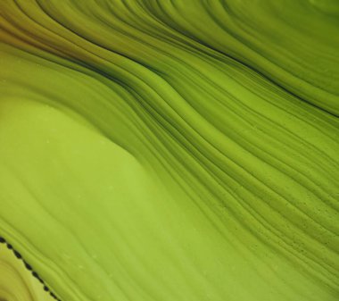 Alkol mürekkebi modern soyut resim, modern sanat. Renkli soyut resim arkaplanı. Soyut renkli arka plan, duvar kağıdı. Modern sanat. Mermer dokusunu boya. Acıya yakın çekim    