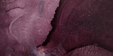 Alkolik mürekkepten yapılmış modern soyut resim. Renkli soyut resim arkaplanı. Soyut renkli arka plan, duvar kağıdı. Modern sanat. Mermer dokuyu boya. 