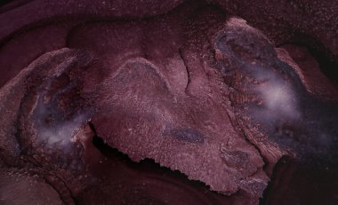 Alkolik mürekkepten yapılmış modern soyut resim. Renkli soyut resim arkaplanı. Soyut renkli arka plan, duvar kağıdı. Modern sanat. Mermer dokuyu boya. 