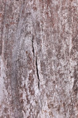 Arka plan eski ahşap bir doku, yağlı boya ile boyanmış ama yüzeyi soyuluyor. 