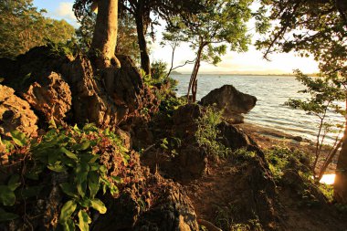 Prachuap Khiri Khan ilindeki Ban Ao Noi 'deki Khao Ta Mong Lai Orman Parkı' nın manzarası. 