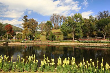 Royal Garden 'ın güzel doğası Siri Phum ve Royal 80 Garden Inthanon Royal Project, Chiang Mai Eyaleti, Tayland