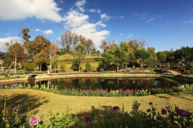 Royal Garden 'ın güzel doğası Siri Phum ve Royal 80 Garden Inthanon Royal Project, Chiang Mai Eyaleti, Tayland