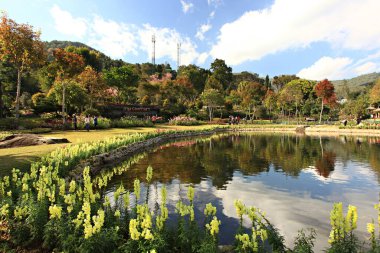 Royal Garden 'ın güzel doğası Siri Phum ve Royal 80 Garden Inthanon Royal Project, Chiang Mai Eyaleti, Tayland