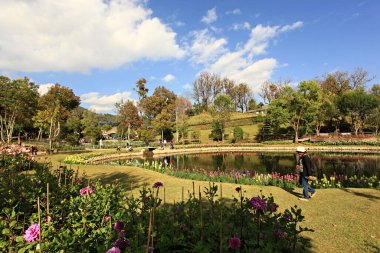 Royal Garden 'ın güzel doğası Siri Phum ve Royal 80 Garden Inthanon Royal Project, Chiang Mai Eyaleti, Tayland