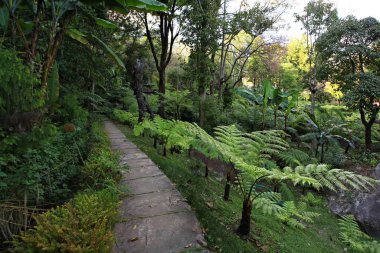 Royal Garden 'ın güzel doğası Siri Phum ve Royal 80 Garden Inthanon Royal Project, Chiang Mai Eyaleti, Tayland