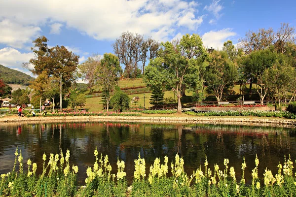 Royal Garden 'ın güzel doğası Siri Phum ve Royal 80 Garden Inthanon Royal Project, Chiang Mai Eyaleti, Tayland