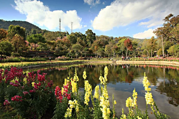 Royal Garden 'ın güzel doğası Siri Phum ve Royal 80 Garden Inthanon Royal Project, Chiang Mai Eyaleti, Tayland