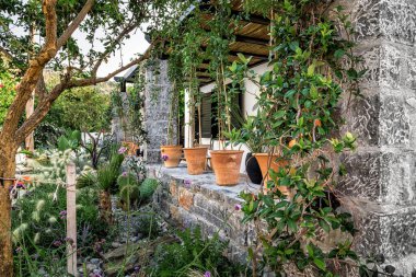 Kırsal ya da yazlık taş evin dışında farklı bitkileri olan bir bahçe..