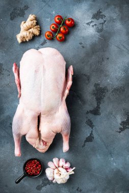 Gri arkaplanda çiğ ördek eti, üst manzara.