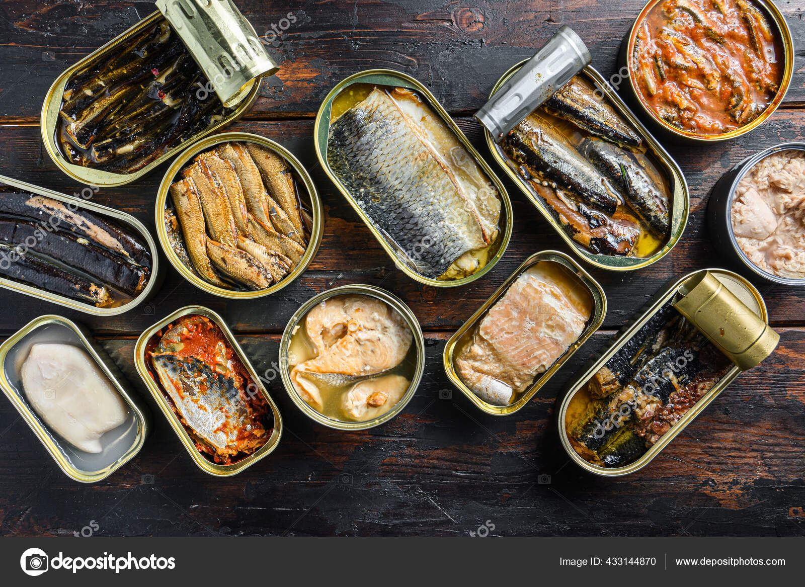 Opened Cans Conserve Saury Mackerel Sprats Sardines Pilchard Squid