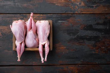 Çiğ bıldırcın seti, üst görünüm, kopya alanı ile koyu ahşap arkaplan