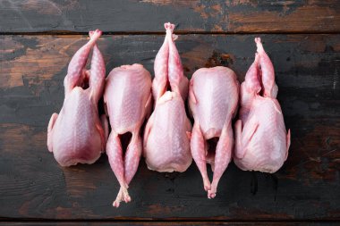 Taze çiğ bıldırcın seti, üst manzara, koyu ahşap arka plan.