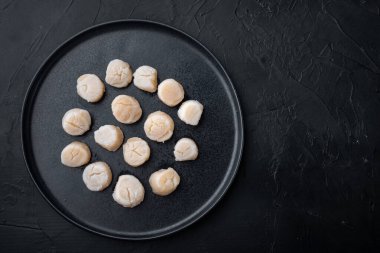 Deniz tarağı taze et, üst görünüm, fotokopi alanı ile siyah desenli arka plan