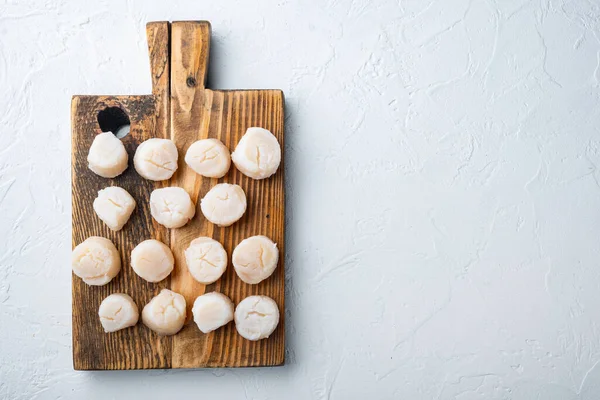 Taze deniz ürünleri, deniz tarakları, et, düz bir zemin, beyaz dokulu arkaplan ve metin için yer.