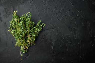 Kekik yeşil demet, siyah arkaplan, metin için kopya alanı ile üst görünüm