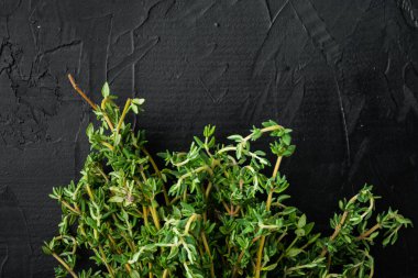 Kekik yeşil demet, siyah arkaplan, metin için kopya alanı ile üst görünüm