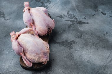 Gri arkaplandaki bütün lapa etini metin için kopyalama alanı ile tazele